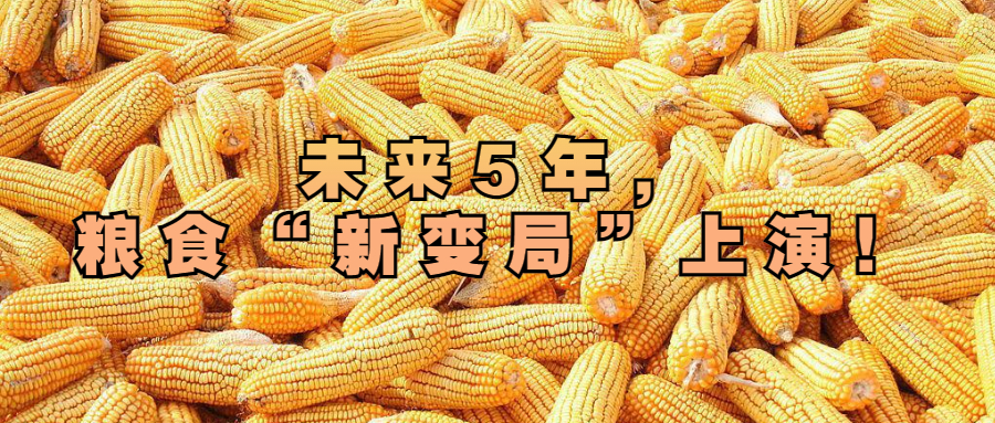 未來(lái)5年，糧食“新變局”上演！